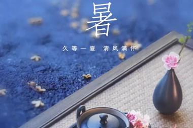 【溫暖?財(cái)鑫】昂揚(yáng)生長(zhǎng)，不負(fù)好時(shí)光