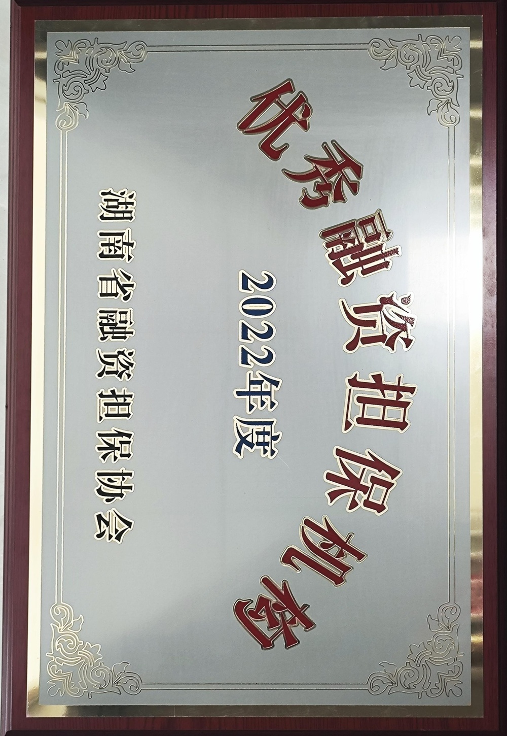 2022年度優(yōu)秀融資擔保機構