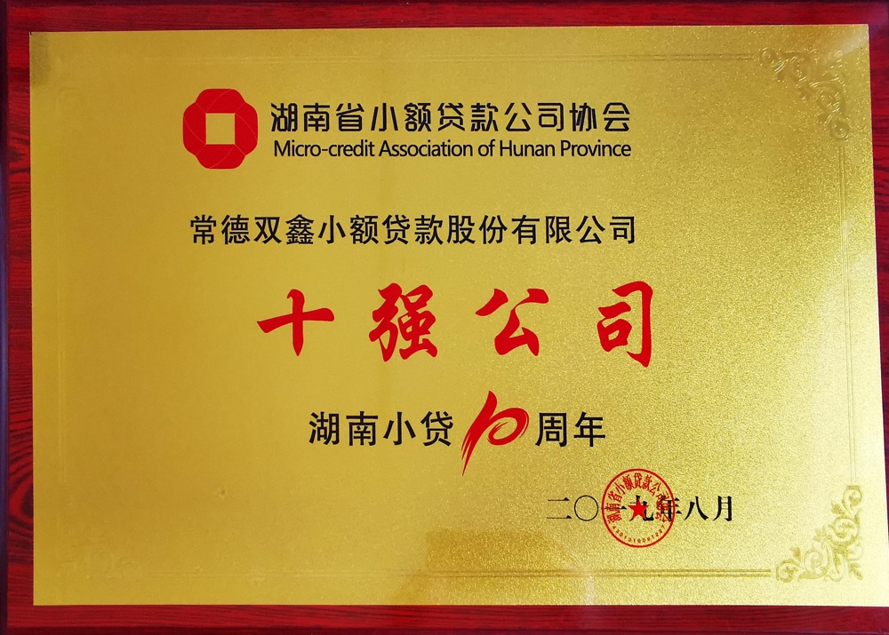 2019年常德雙鑫小額貸款股份有限公司十強公司