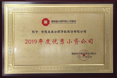 2019年度優(yōu)秀小額貸款公司—常德雙鑫小額貸款股份有限公司