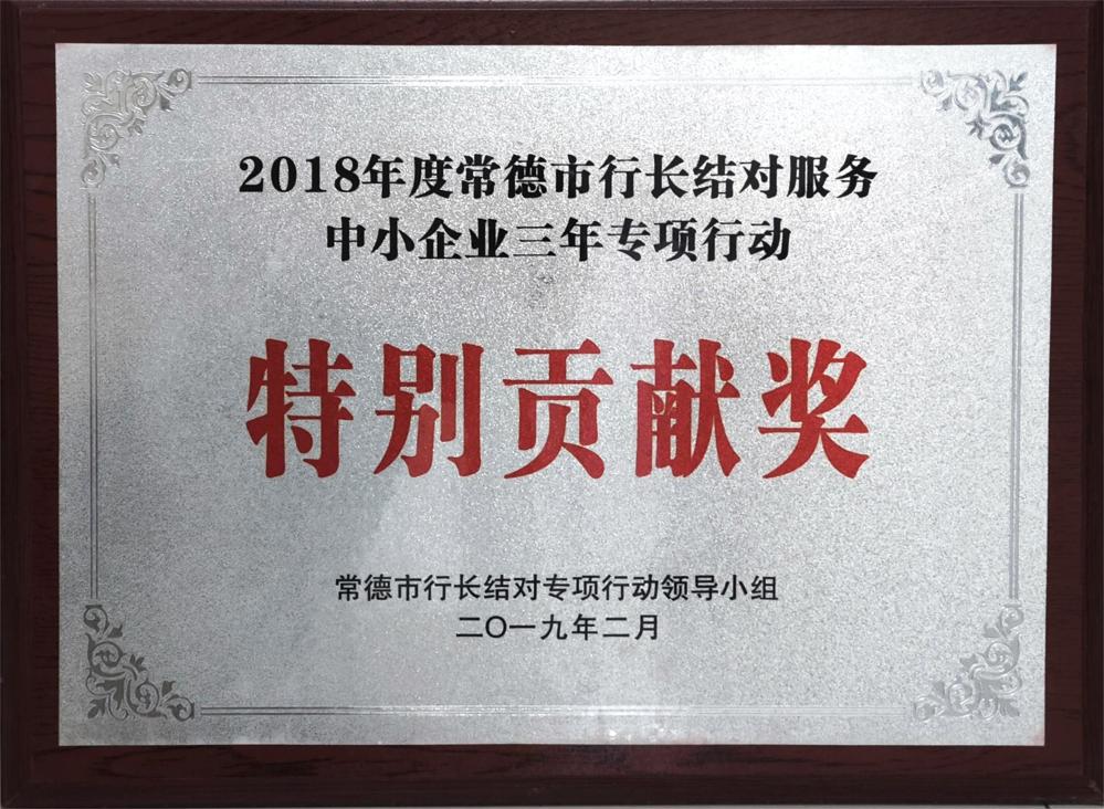 2018年度常德市行長結(jié)對服務(wù)中小微企業(yè)三年專項(xiàng)行動特別貢獻(xiàn)獎