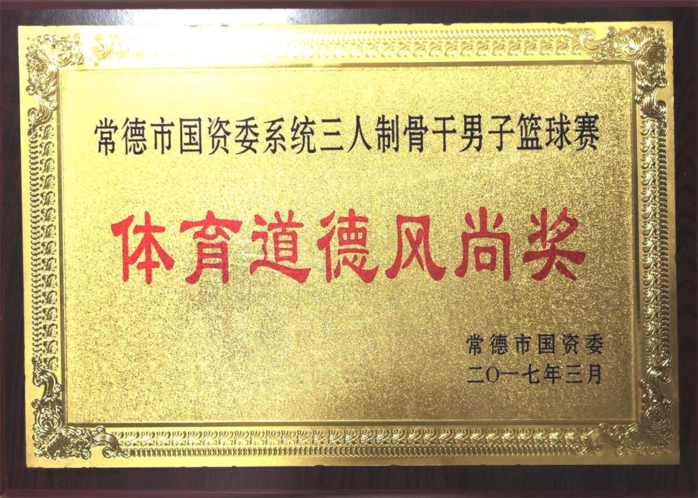 2017年常德市國資委三人制骨干男子籃球賽體育道德風(fēng)尚獎(jiǎng)
