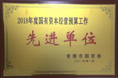 2018年度國有資本經(jīng)營預算工作先進單位